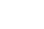 Trans White Logo